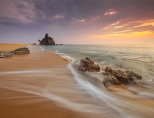 埃尔切主场连胜，西甲排名上升