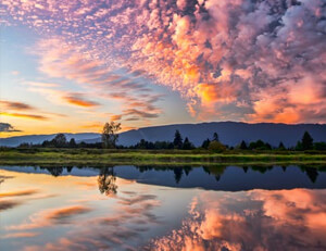 澳大利亚女足豪取七连胜，称霸亚洲杯赛场