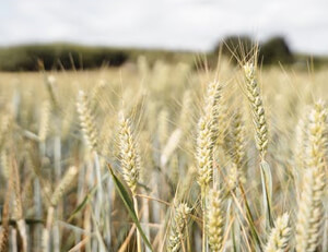 欧国联比赛：塞浦路斯队迎来俄罗斯队的挑战