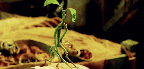 世纪对决,男子柔道擂台纷飞 世纪对决,男子柔道擂台纷飞