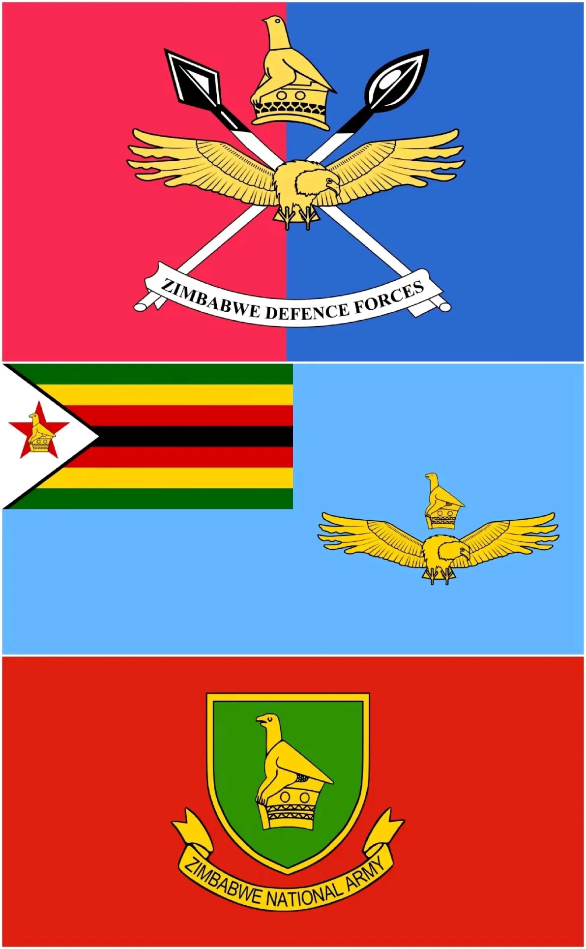 九游体育官网-关于纳米比亚队取得决赛资格，豪夺胜利晋级四强的信息