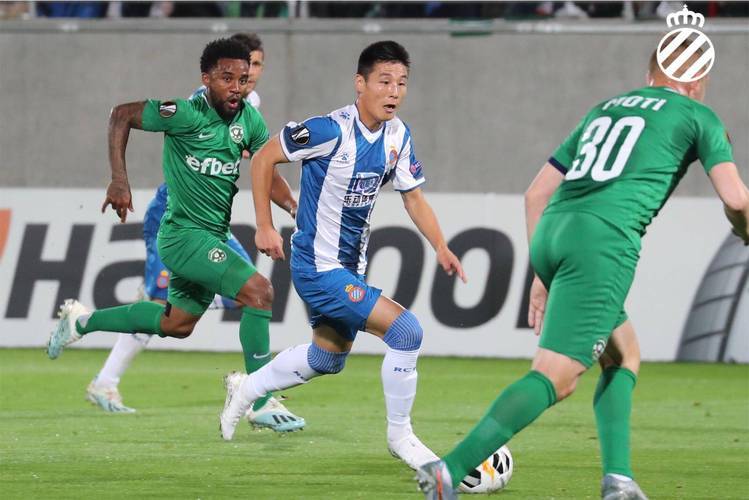 赫根伦主场惨败，提前结束欧战之旅的简单介绍